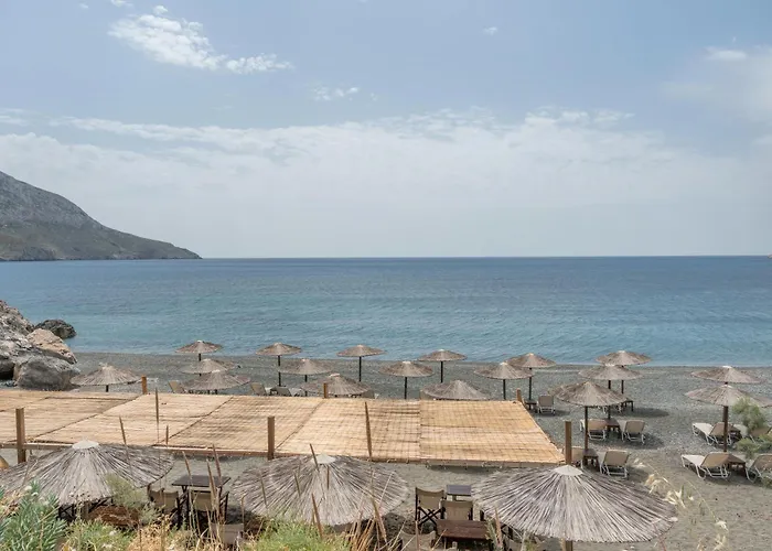 Daire Niki's Kilimli