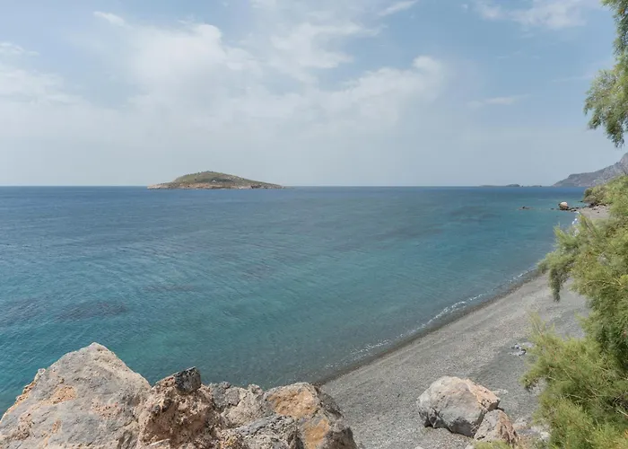 Daire Niki's Kilimli