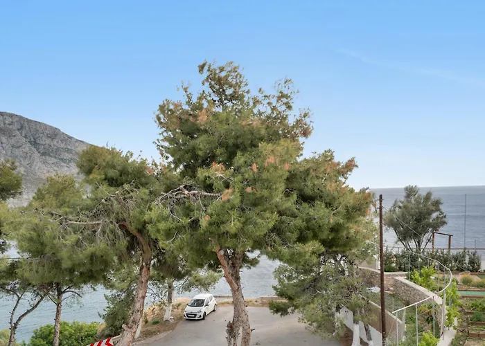 Niki's Daire Kilimli