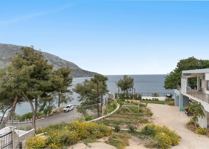 Niki's Daire Kilimli